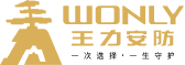 WONLY 王力安防